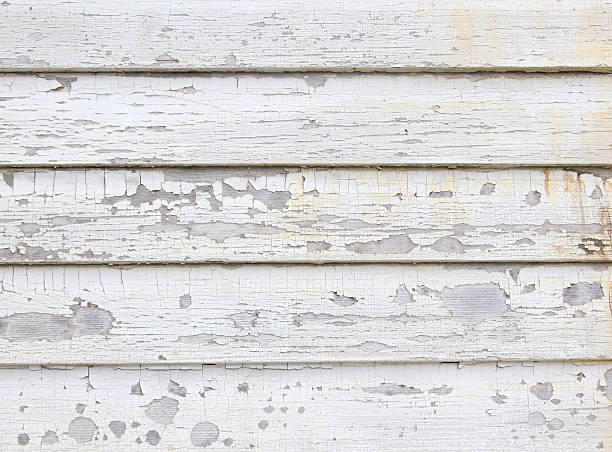 Affordable Siding Repair and Maintenance Services in San Antonio, FL